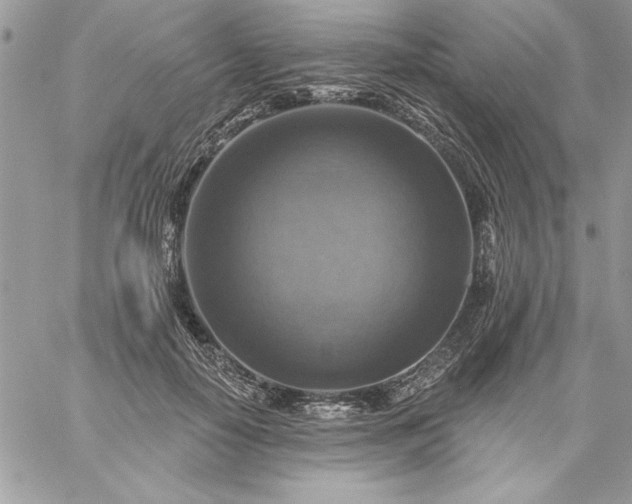 X0000059080650200510172031