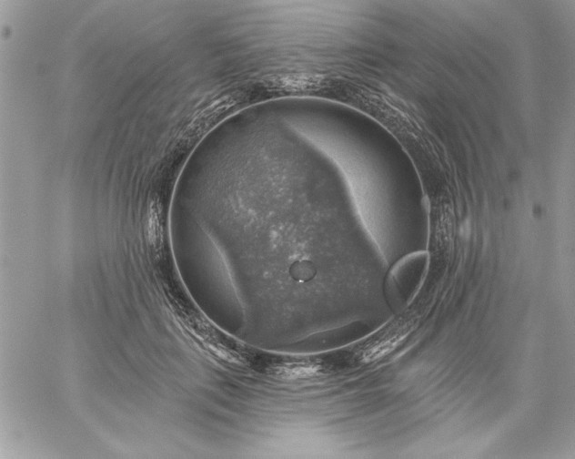 X0000059080651200510172031