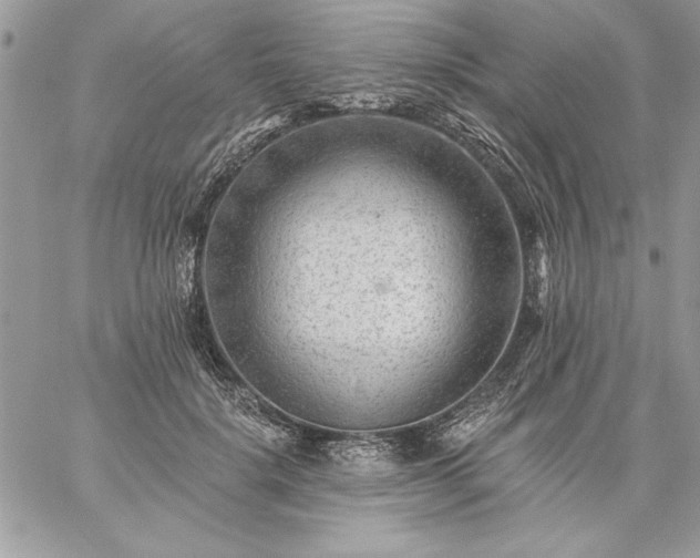 X0000059080652200510172031