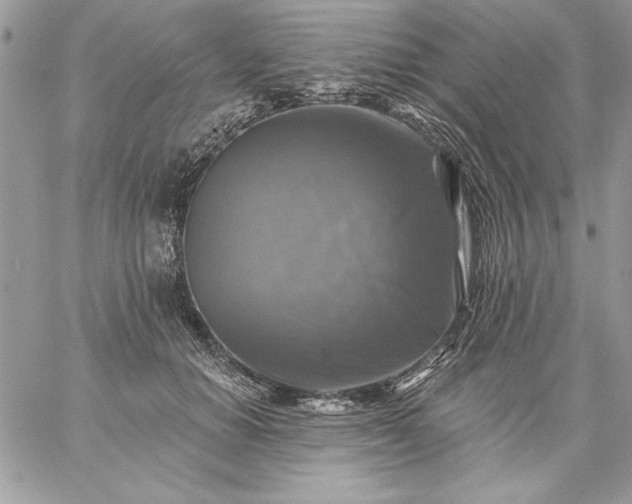 X0000059080654200510172031