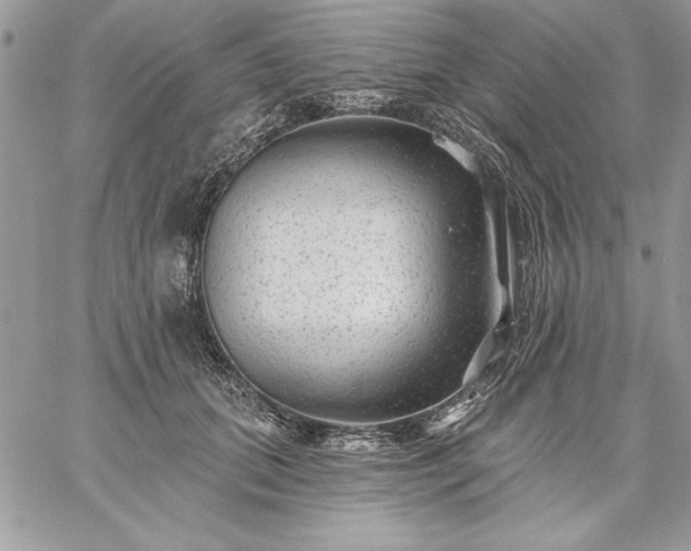 X0000059080655200510172031