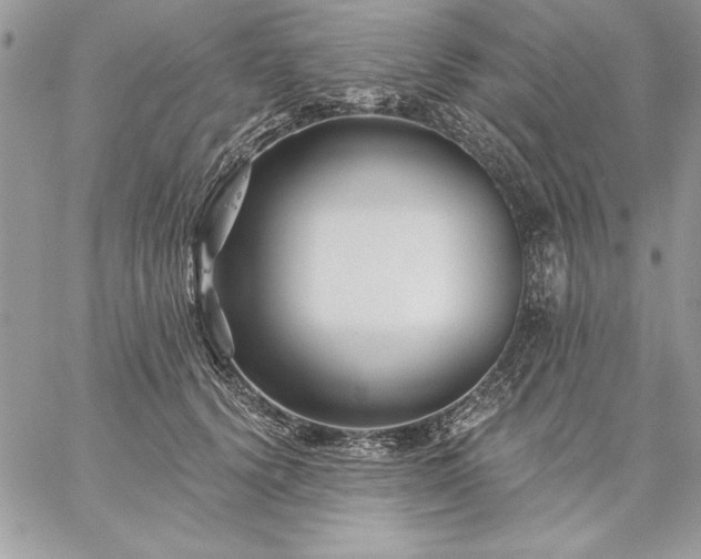 X0000059080656200510172031