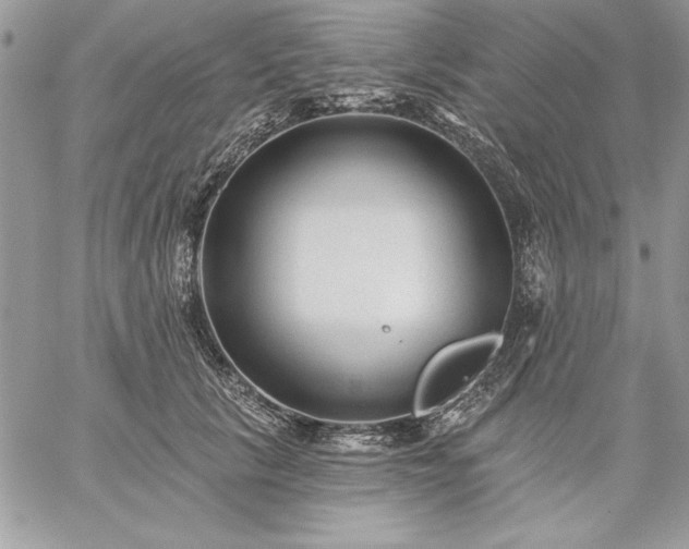 X0000059080657200510172031