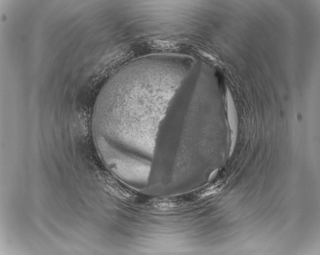 X0000059080658200510172031