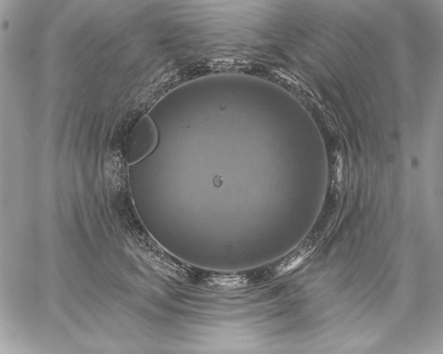 X0000059080659200510172031