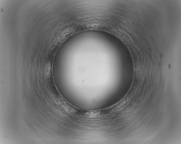 X0000059080660200510172031