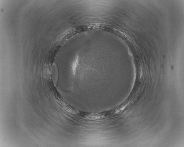 X0000059080661200510172031