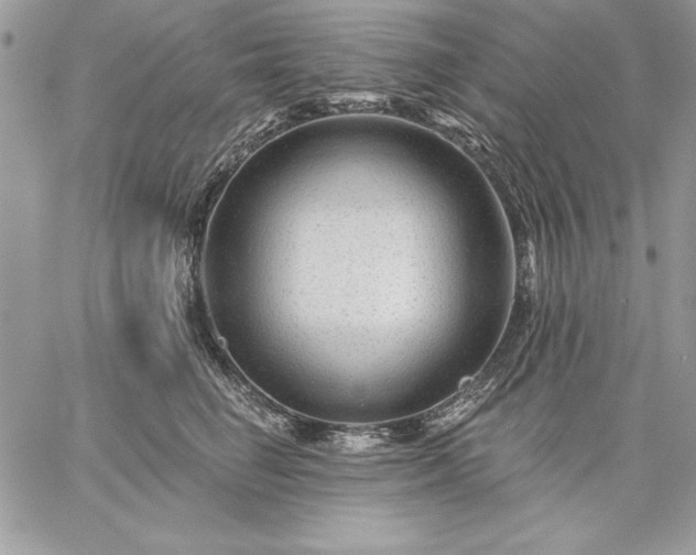 X0000059080662200510172031