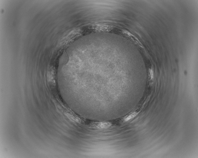 X0000059080663200510172031