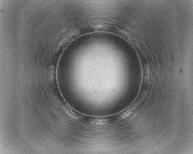 X0000059080664200510172031