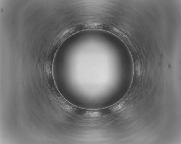 X0000059080665200510172031