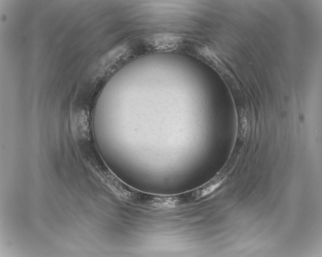 X0000059080667200510172031