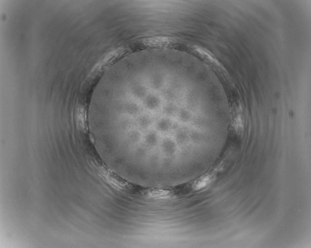 X0000059080669200510172031