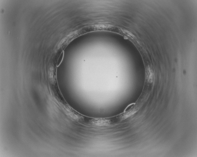 X0000059080670200510172031