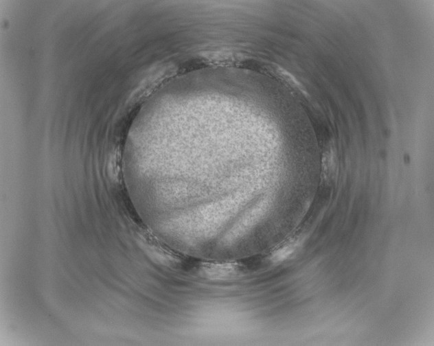 X0000059080671200510172031