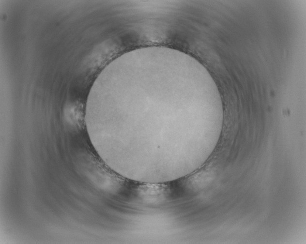 X0000059080672200510172031