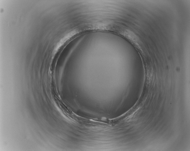 X0000059080674200510172030