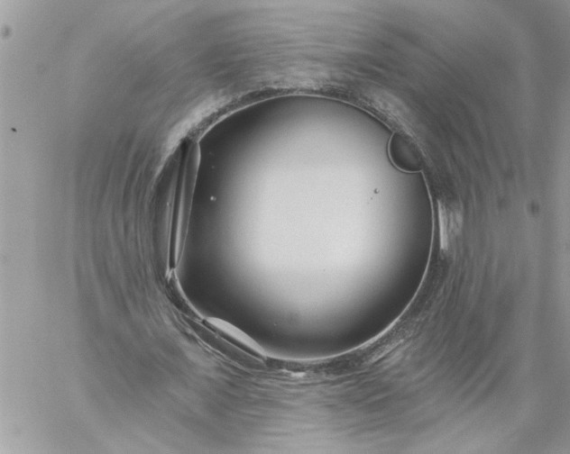 X0000059080675200510172030