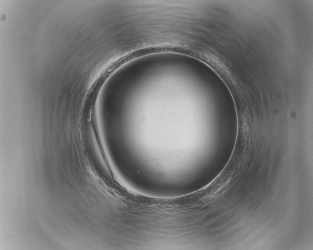 X0000059080676200510172030