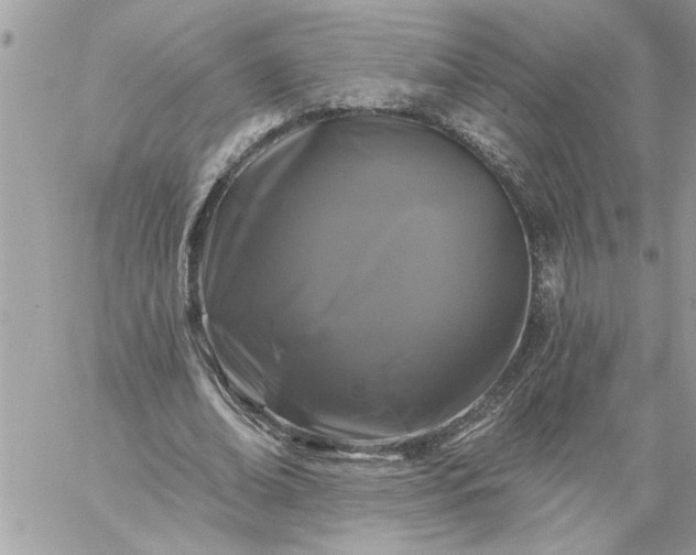 X0000059080678200510172030