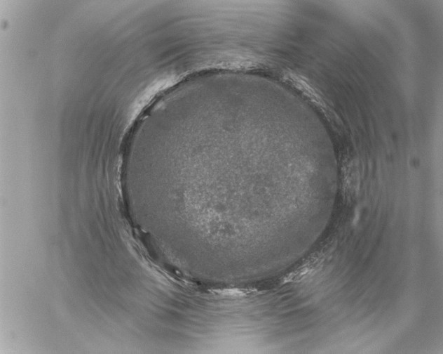 X0000059080679200510172030