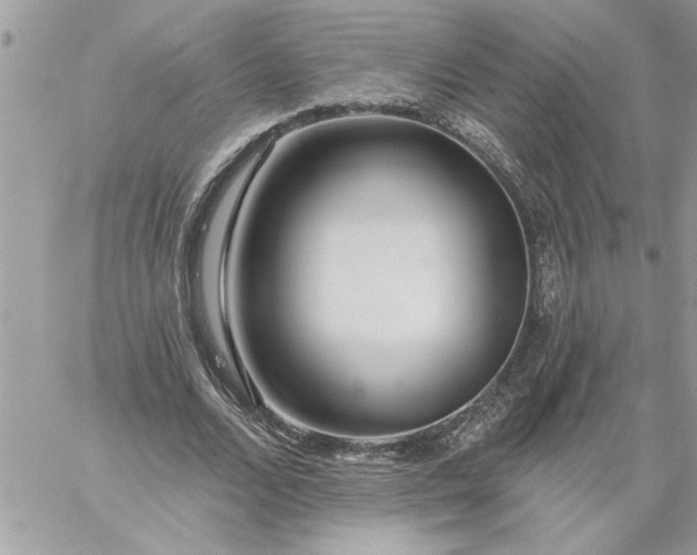 X0000059080680200510172030