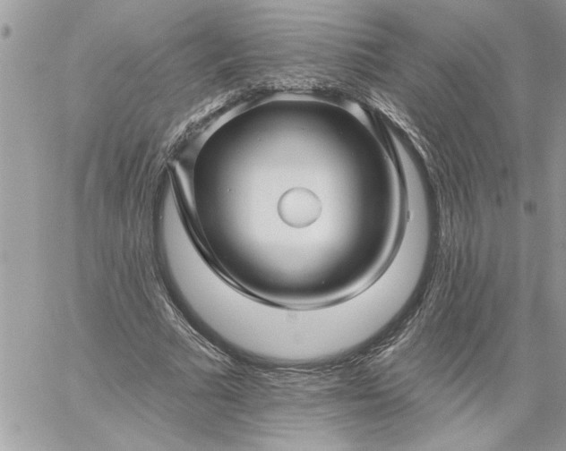 X0000059080681200510172030