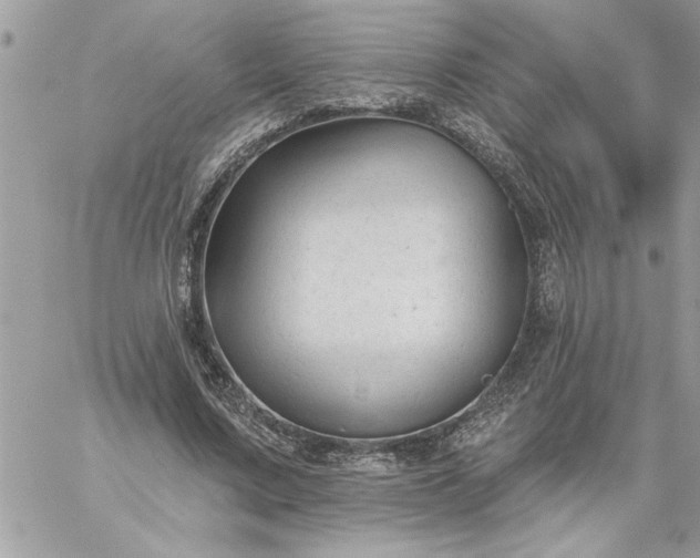 X0000059080683200510172030