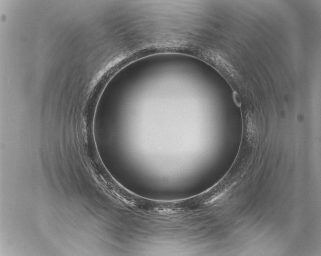 X0000059080684200510172030