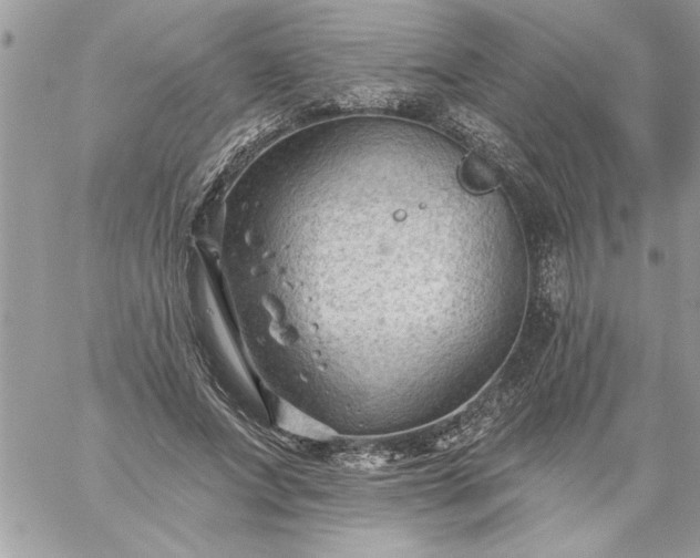 X0000059080687200510172030