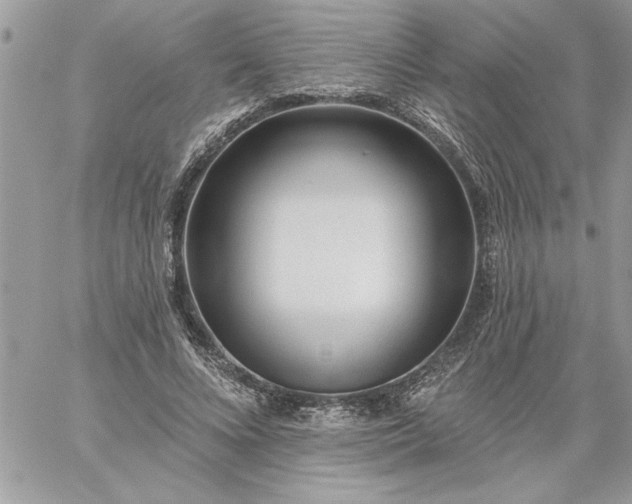 X0000059080688200510172030