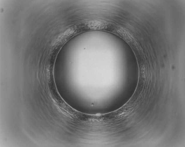 X0000059080690200510172030