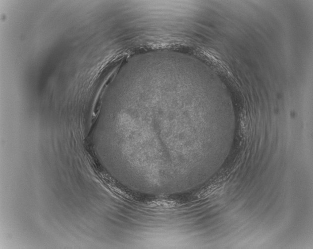 X0000059080691200510172030