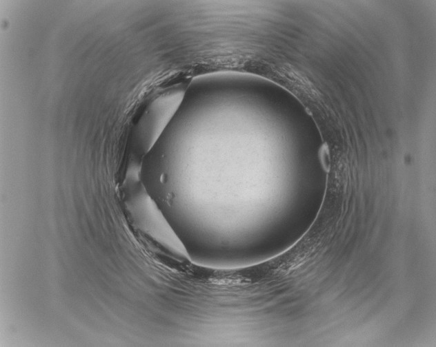 X0000059080693200510172030