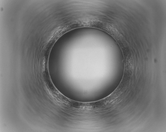 X0000059080694200510172030