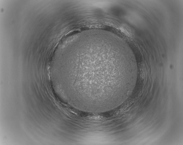 X0000059080695200510172030