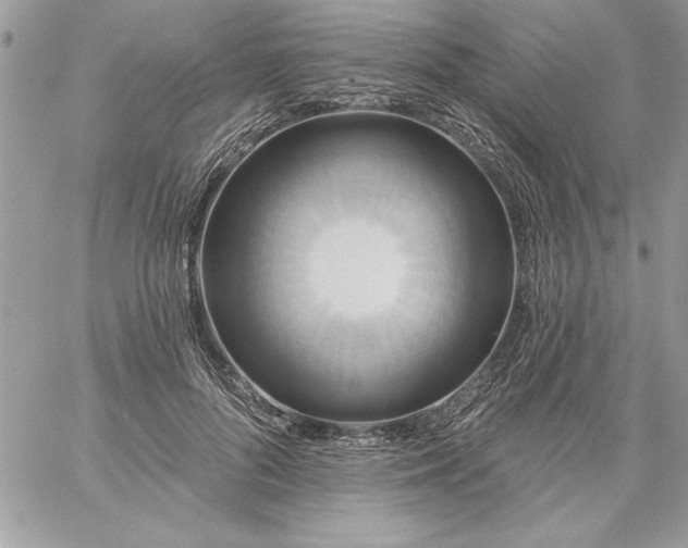 X0000059080696200510172030