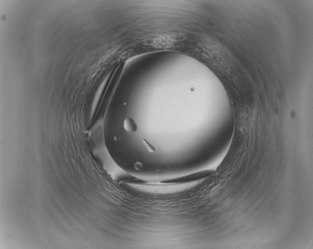 X0000059080697200510172030