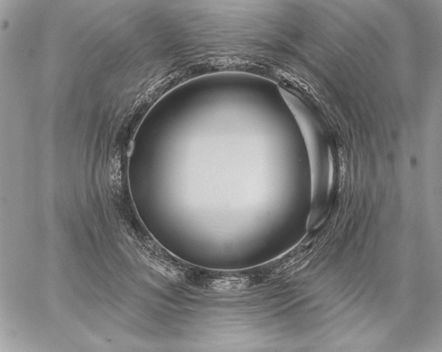 X0000059080700200510172030