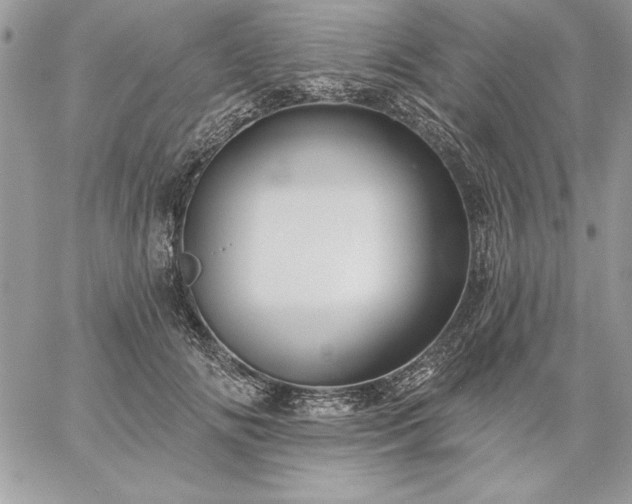 X0000059080702200510172030