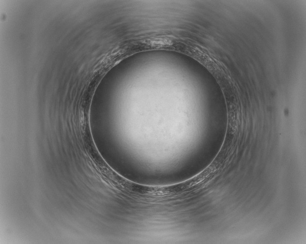 X0000059080704200510172030