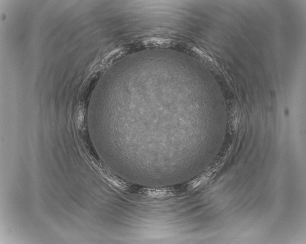 X0000059080709200510172030