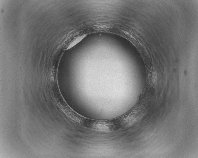 X0000059080710200510172030