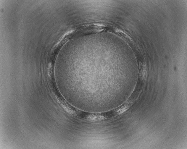 X0000059080712200510172030