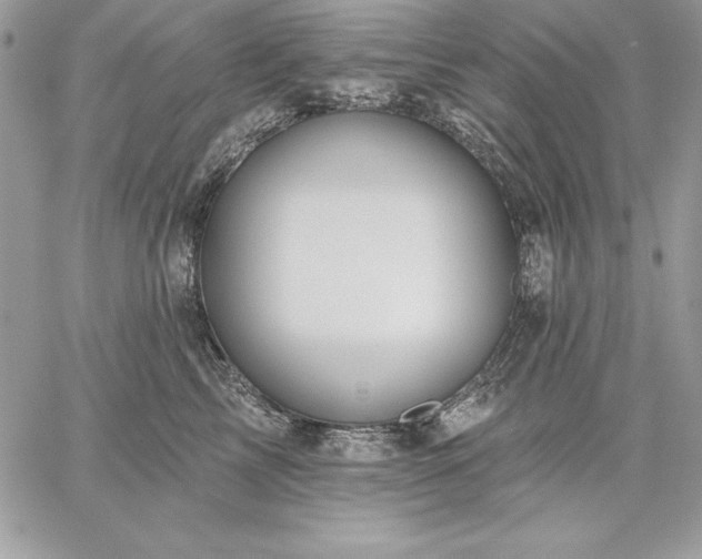 X0000059080713200510172030