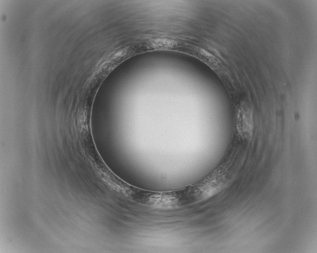 X0000059080714200510172030