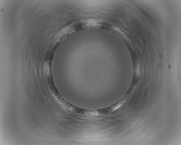 X0000059080715200510172030