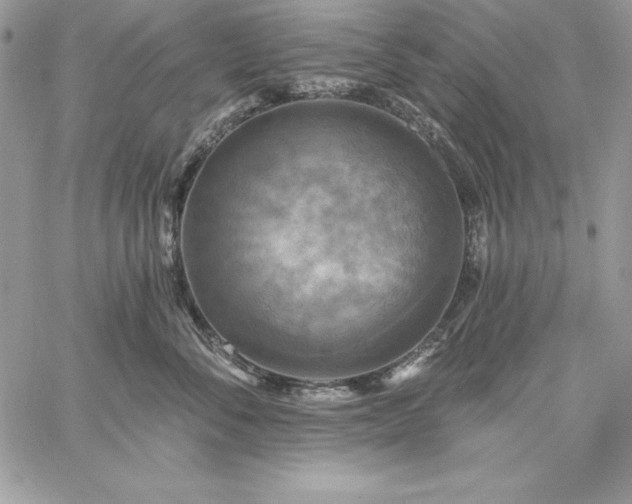 X0000059080716200510172030