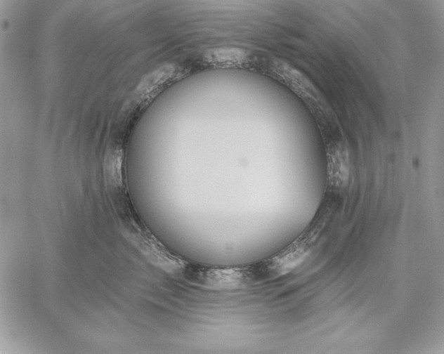 X0000059080717200510172029