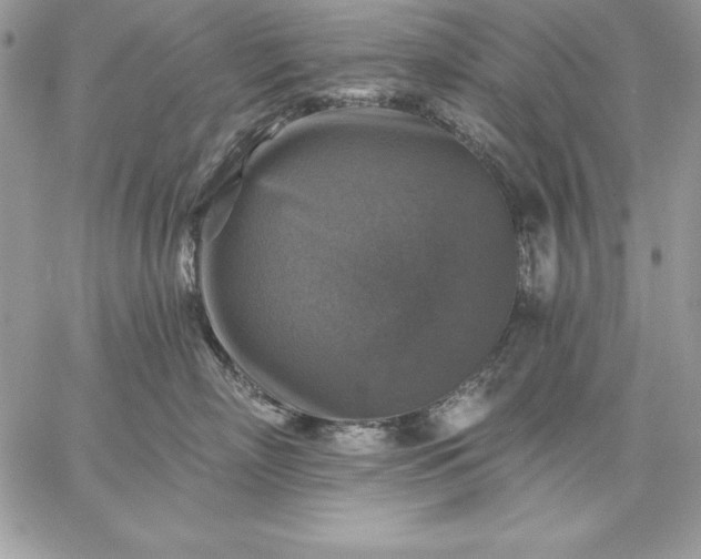 X0000059080718200510172029